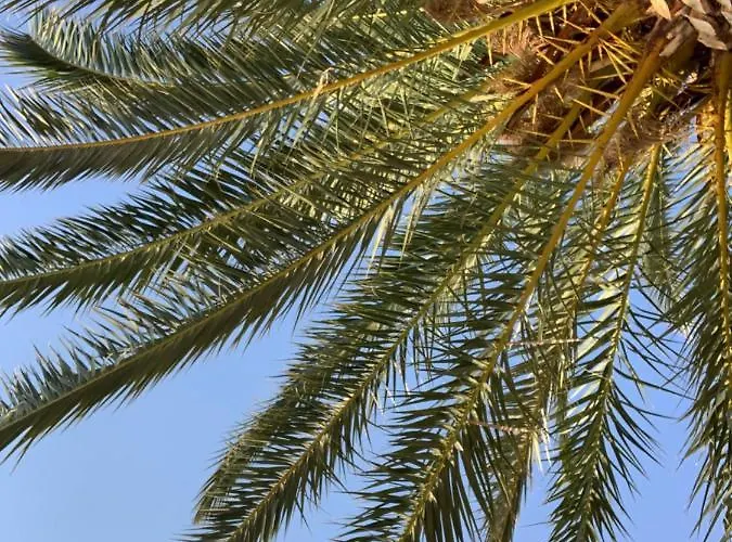 公寓 Waterfront Roko 伯德古拉