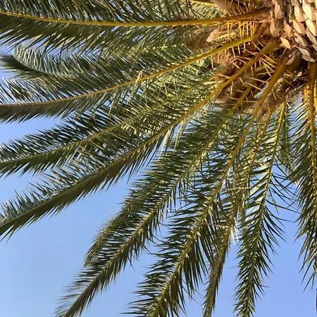 Апартаменты Waterfront Roko Подгора